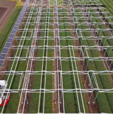 Kauf von Solarmodulen gegen Leasing: Welches funktioniert für Sie?