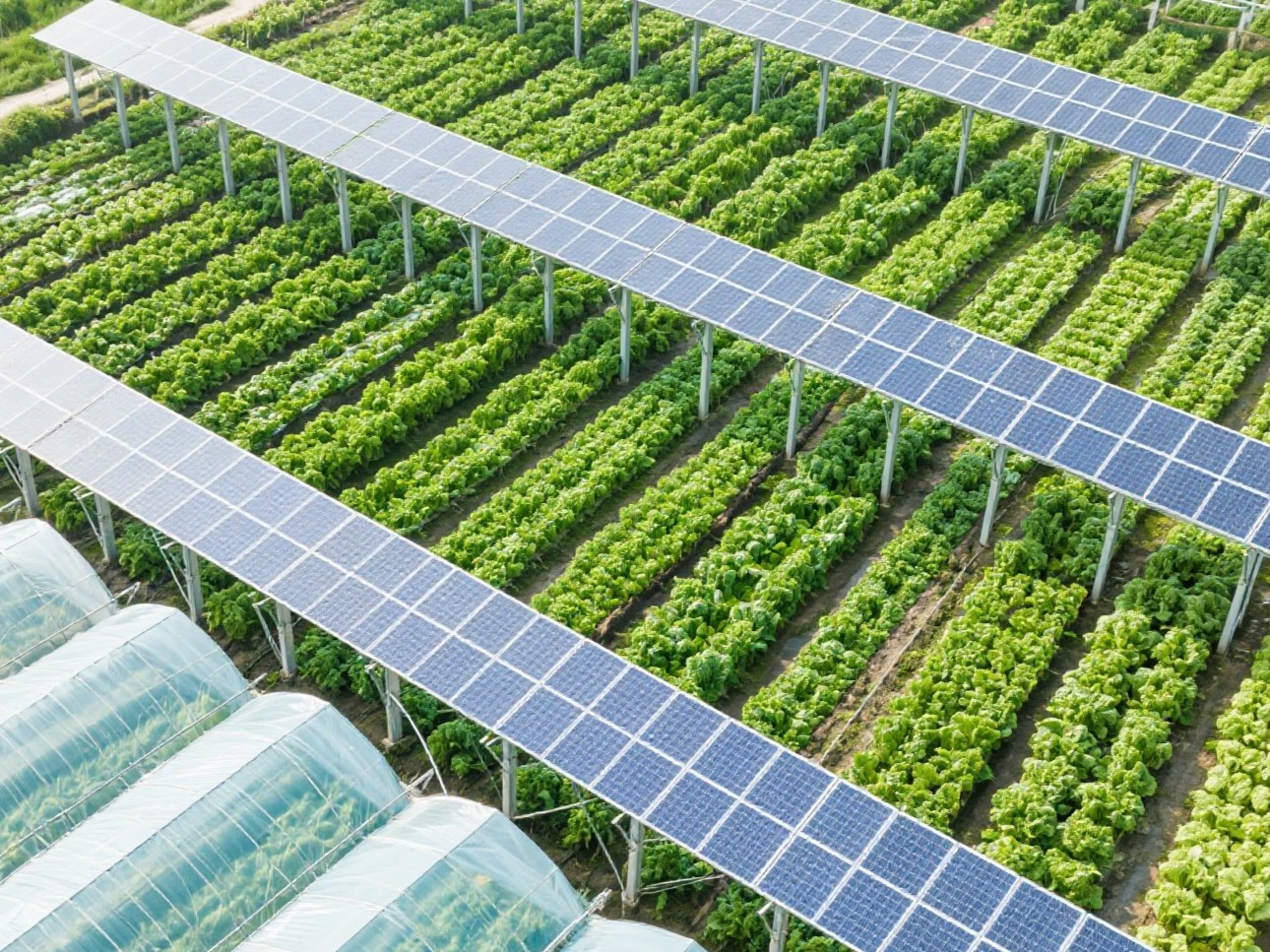 Welche Art von Unterstützungssystem wird normalerweise in Solarparks verwendet?