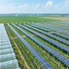 Solarpark Agrarsystem Racking Solar Panel Kits für PV Ground Monting System Solar Power Farm