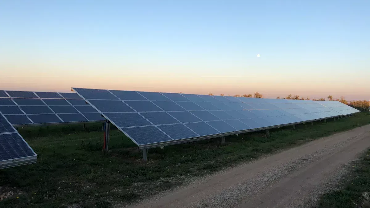 Vor- und Nachteile von bodenmontierten Solarmodulen